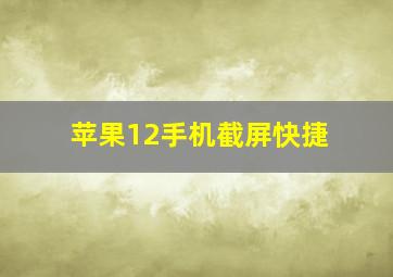 苹果12手机截屏快捷