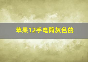 苹果12手电筒灰色的