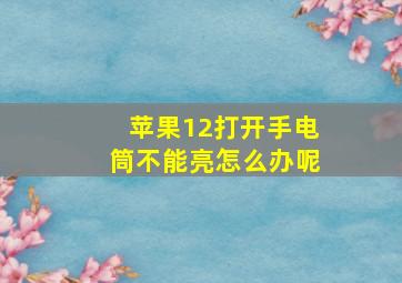 苹果12打开手电筒不能亮怎么办呢