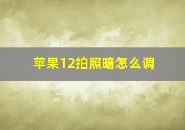 苹果12拍照暗怎么调