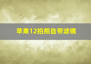 苹果12拍照自带滤镜