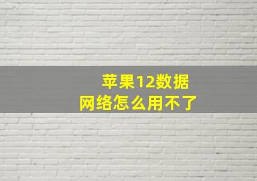 苹果12数据网络怎么用不了