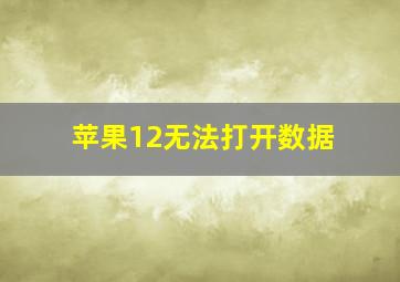 苹果12无法打开数据