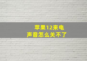 苹果12来电声音怎么关不了