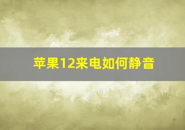 苹果12来电如何静音