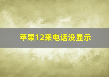 苹果12来电话没显示