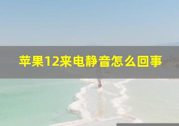 苹果12来电静音怎么回事