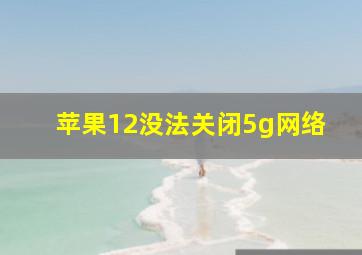 苹果12没法关闭5g网络