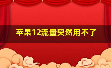 苹果12流量突然用不了