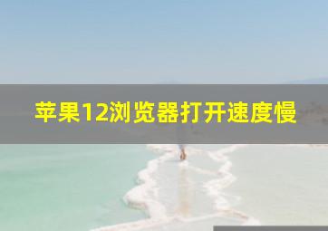 苹果12浏览器打开速度慢