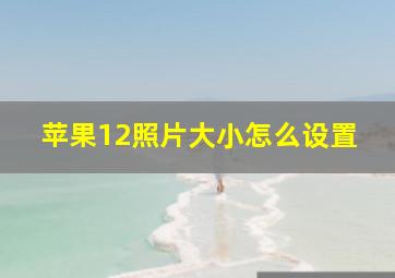 苹果12照片大小怎么设置