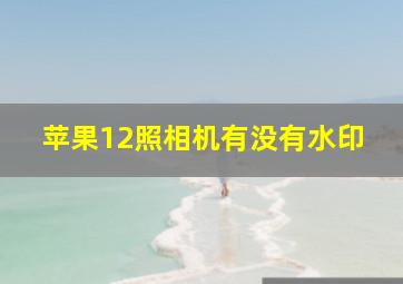 苹果12照相机有没有水印