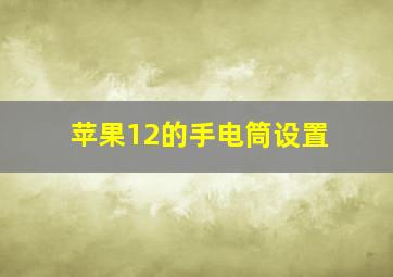 苹果12的手电筒设置