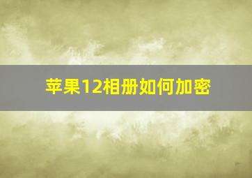 苹果12相册如何加密