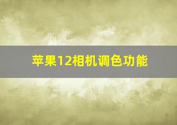 苹果12相机调色功能