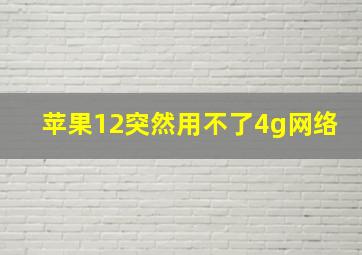 苹果12突然用不了4g网络