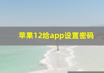 苹果12给app设置密码