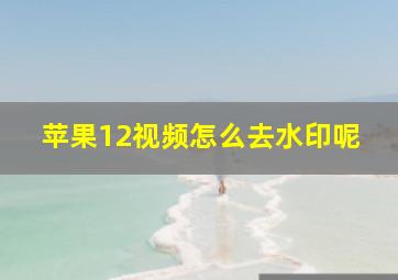 苹果12视频怎么去水印呢