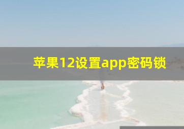 苹果12设置app密码锁