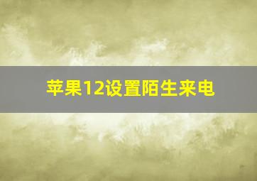 苹果12设置陌生来电