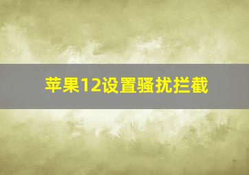 苹果12设置骚扰拦截