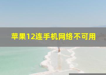 苹果12连手机网络不可用