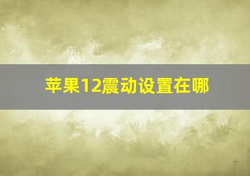 苹果12震动设置在哪