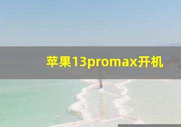 苹果13promax开机