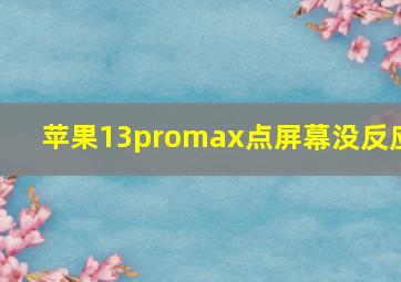 苹果13promax点屏幕没反应