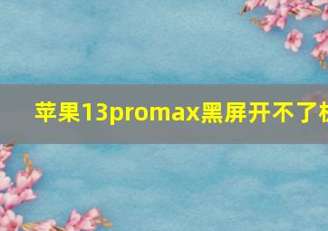 苹果13promax黑屏开不了机