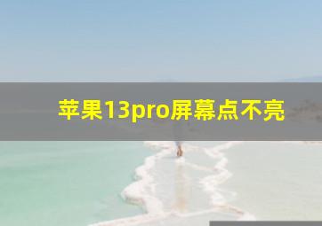 苹果13pro屏幕点不亮