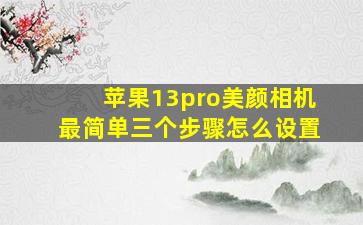 苹果13pro美颜相机最简单三个步骤怎么设置