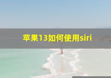 苹果13如何使用siri