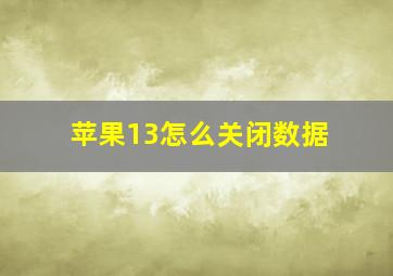 苹果13怎么关闭数据