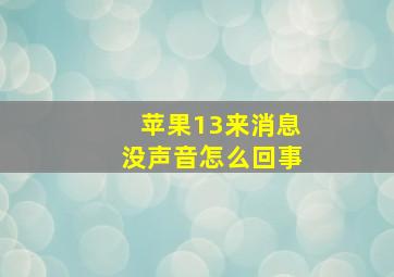 苹果13来消息没声音怎么回事