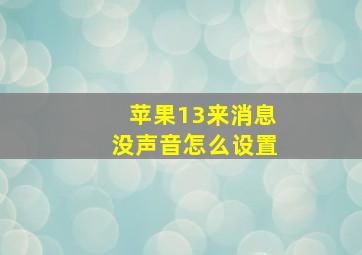 苹果13来消息没声音怎么设置