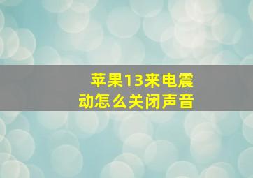 苹果13来电震动怎么关闭声音