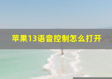 苹果13语音控制怎么打开