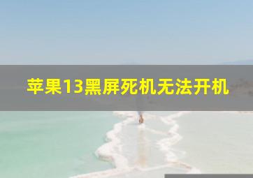 苹果13黑屏死机无法开机