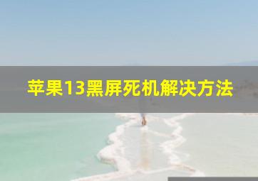 苹果13黑屏死机解决方法