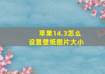 苹果14.3怎么设置壁纸图片大小