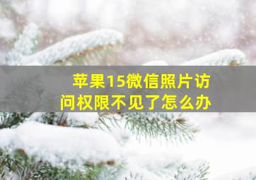 苹果15微信照片访问权限不见了怎么办