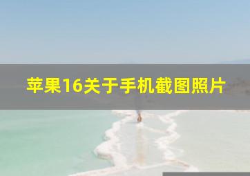 苹果16关于手机截图照片