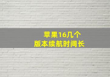 苹果16几个版本续航时间长