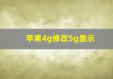 苹果4g修改5g显示