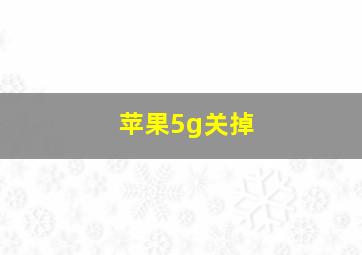 苹果5g关掉