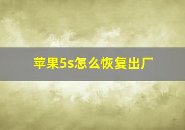 苹果5s怎么恢复出厂