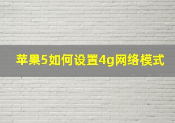 苹果5如何设置4g网络模式