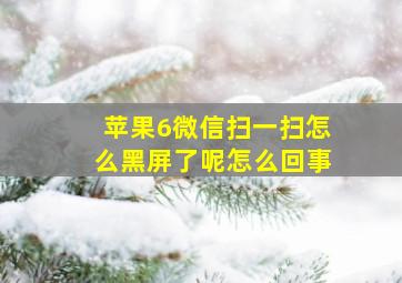 苹果6微信扫一扫怎么黑屏了呢怎么回事