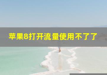 苹果8打开流量使用不了了